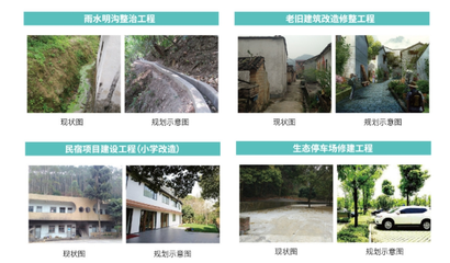 森林养生、户外探险…高明两条美丽乡村启动建设_南方plus_南方+