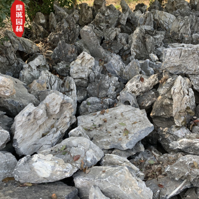 青龙石一般什么地方有青龙石在广东英德的英山上