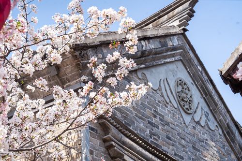 春花古建两相宜 一树杏花开, 彭城往事 引客来