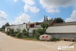 即墨区金口镇 持续加大民生领域投入,打造幸福宜居乡村