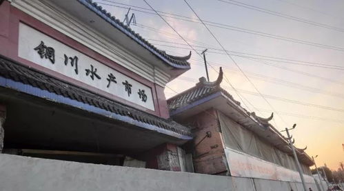 普陀区铜川路水产市场改建工程紧锣密鼓进行 原址将变 绿廊 ,预计2019年建成