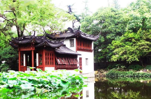 迎新年，古建筑工程服务本周精彩呈现